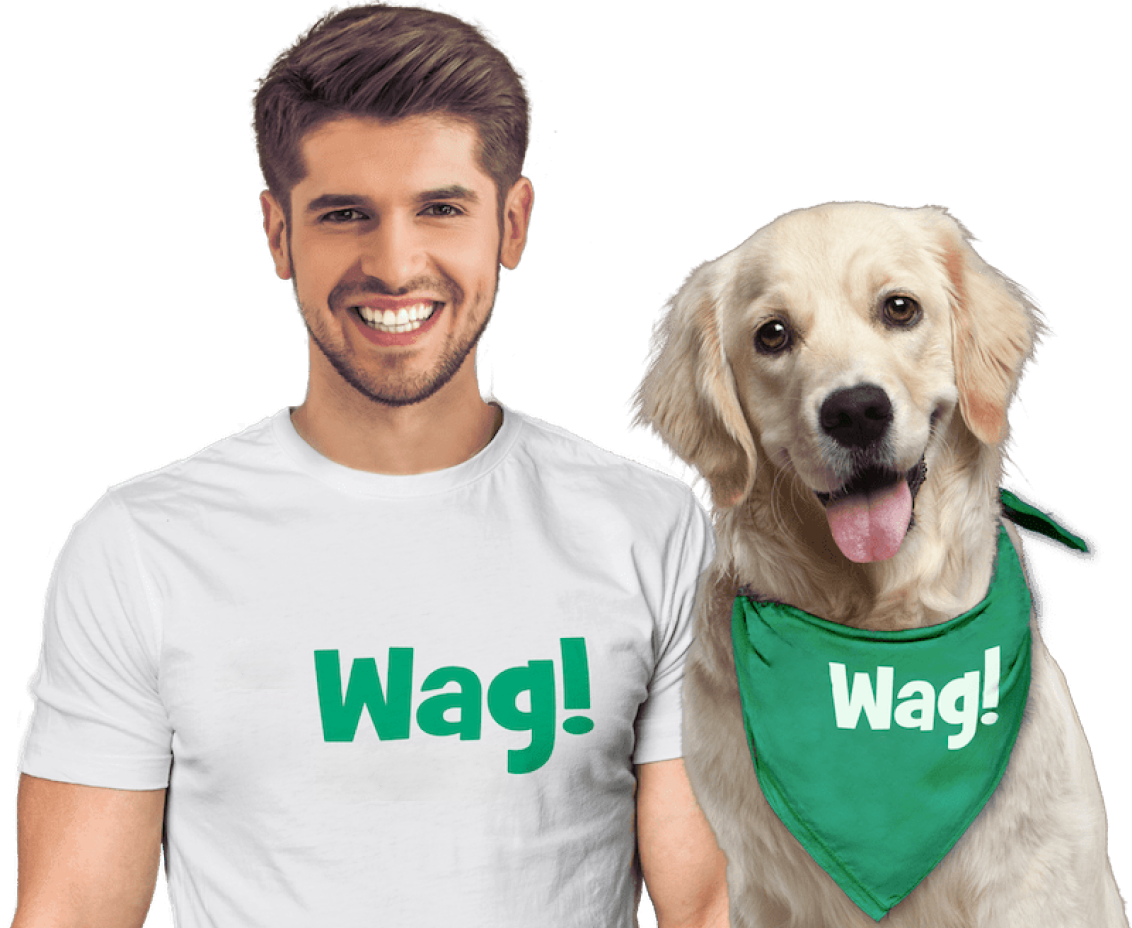 Wag! Pet care provider and dog